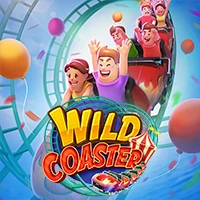 WILD COASTER